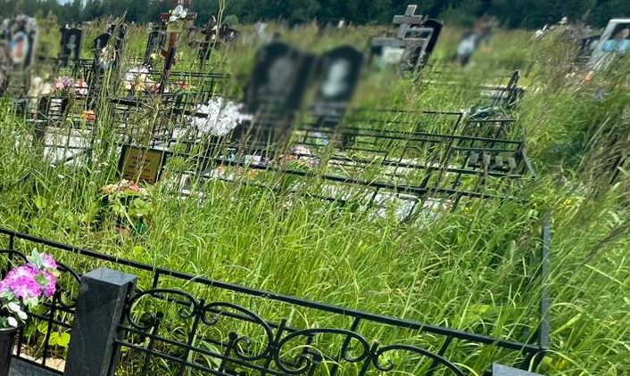 Поиск места захоронения