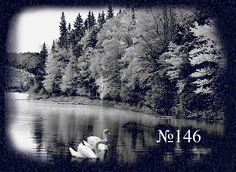 № 146